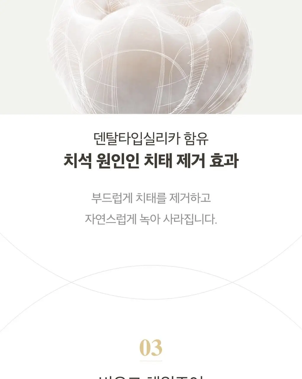 [치석케어] 루치펠로 화이트펄오션 치약 100g 기획(+25G 증정) 상세페이지 5